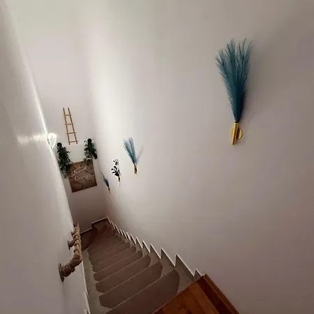 Apartment Dona House *
